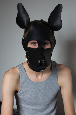 simplekink:  WOOF,  I am a fellow pup, among many things the hood I am wearing I make my self. Who wants to put me in my hood lock on some fist mitts and insert a tail plug in my ass? I will be a good pup I promise, I don’t bite or smell to much and