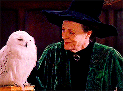 burntlikethesun:  positive lady characters meme: favourite older female character ↳ Minerva McGonagall  ‘False hope?’ repeated Professor McGonagall, still refusing to look round at Professor Umbridge. ‘He has achieved high marks in all his Defence