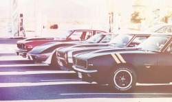 mycamaro67:  My Camaro 1967 RS, Camaro 68 SS “The Crow”, Corvette 78 Pacecar L82 and Nova 78.