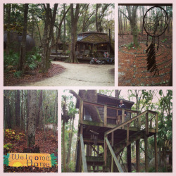 It&rsquo;s only 25 bucks a night.  I&rsquo;ve made love in that tree house :) (MARY LOOOOK)