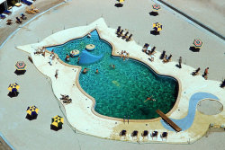 atomic-flash:  Fontainbleau Hotel’s Cat Shaped Swimming Pool, Miami, Florida ~ Slim Aarons, 1955 