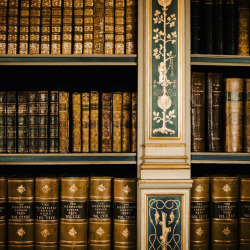 afaerytalelife:Warwick Castle Library, by  Elena Kurlaviciute.