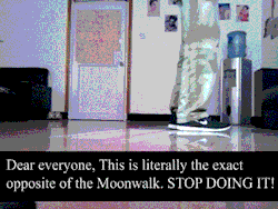 dialupmodem:  whosfuckingbad:  maltese-vulcan:  french-verbz:  Well now I can correctly moonwalk away from uncomfortable situations  Because everyone deserves to know how to do a mean moonwalk.  guYS THIS IS IMPORTANT  its not important  gotta do this