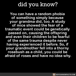 did-you-kno:You can have a random phobia  of something simply because  your grandma did, too. A study  of mice showed the fear of a  traumatic event could be genetically  passed on, causing the offspring  and even their children to be fearful  of the