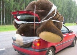 al-grave:  godotal:  Is this even safe?  It’s not safe. That bear is going to suffocate with that plastic wrap covering his nose and mouth.  This takes kinky to a whole new level 