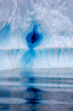 zferolie: dick–wagon:  irakalan:  BLUE ICEPrincipal Evangelist, Photoshop &amp; Lightroom JULIEANNE KOST - “mages from my recent trip to Antarctica”  ICE PUSSY  As I was scrolling down I was expecting someone to say ice Pussy 