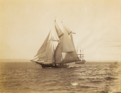lazyjacks:Dauntless, 1887-03-13Nathaniel L. Stebbins photographic collectionHistoric New England Reference Code PC047.02.0450.01207 That’s a lot of canvas.