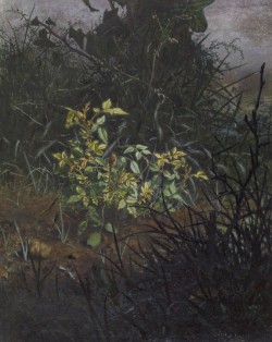 le-desir-de-lautre:  Léon Bonvin (French, 1834-1866), Glimpse in a Thicket, 1865, watercolor, iron gall ink and pen, over graphite underdrawing on moderately textured, moderately thick, cream wove paper, 10 1/16 x  8 1/16 in. (25.6 x 20.5 cm).