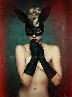 officiallymosh:“Black Bunny 2” by Peter Gonzales