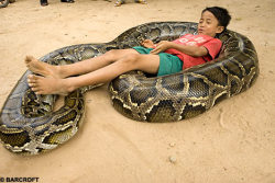 rosewolfheart:  megarah-moon:  A seven-year old boy from Cambodia has a rather unusual best friend. Koun Samang has been spending time with his python, which now weighs 18 stone, since he was born. &ldquo;My boy and the snake have been living very happily