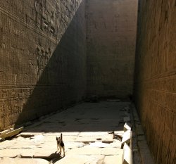 nina-berry:A cat makes its way through the corridor of the Girdle Wall of the Temple of Horus at Behdet. or - Bastet pays Horus a visit.  Ancient shit