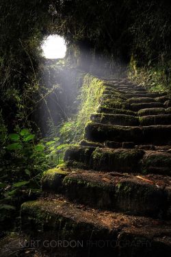 luna-intheforest:  woodendreams:  Inca Trail, Peru (by kurtgordon)    ✨🌙    
