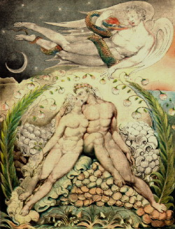 magictransistor:  William Blake. Illustrations for Milton’s Lost in Paradise. Books IV-XII: Satan with Adam and Eve, Raphael with Adam and Eve, Adam and Eve Sleeping, The Fall of the Rebel Angels, The Creation of Eve, The Temptation of Eve, The Prophecy