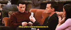 falling-in-love-with-fandoms:  #CHANDLER