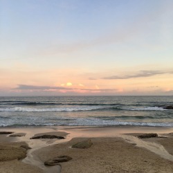 seakiddo:  Beach blog