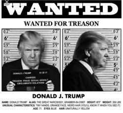 dragoni:  Russian President #PutinsPuppet  “Treason against the United States shall consist only in levying war against them, or in adhering to their enemies, giving them aid and comfort. No person shall be convicted of treason unless on the testimony