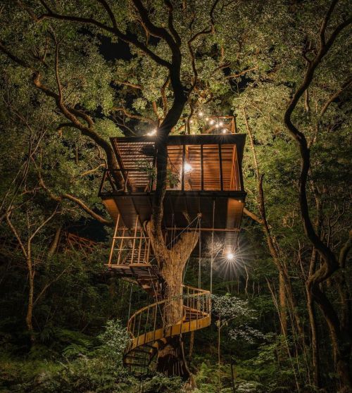 utwo:  Treeful Treehouse Sustainable Resort Nago Okinawa Japan© treeful treehouse