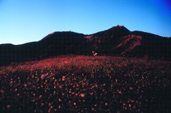 vaxaku:sunset in Spanish desert Las Bardenas Reales with Théa Giglio, redscale film