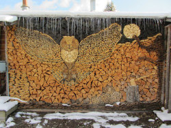 archiemcphee:  The beautiful woodpile mosaic owls are the work of Gary Tallman, an 82-year-old Montana resident who turns the chore of stacking firewood into an art form. Over the years Tallman has learned the many colors found in various types of cordwoo