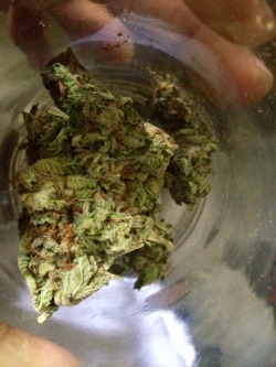 sofxckinghigh:  Puffin on that strong! 