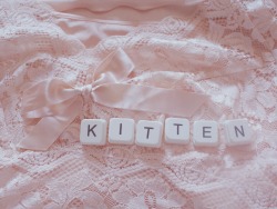 x-satans-kitten:  🌸kitten🌸