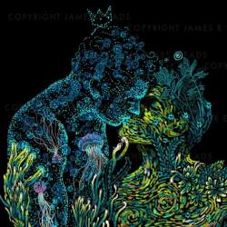 soulmates-twinflames:  If I lived a million lives, I would’ve felt a million feelings and I still would’ve fallen a million times for you.~r.m.drake www.twinflameconnection.com  Art: James Eads