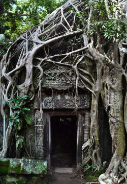 travelthisworld:  Ta Prohm Angkor Wat, Siem Reap, Cambodia | by Erin Sitt