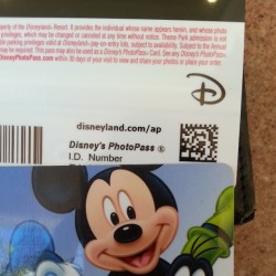 So I renewed my pass and I&rsquo;m now a premium pass holder! Who wants to go to Disneyland? !?! #Disneyland #disneyaddict #lovethisplace