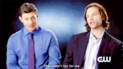 hallowedbecastiel:  Jared: I loved when you had to fight the fairies.  [x] 