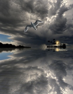 crescentmoon06:  by peter holme  