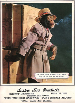 klappersacks:  Hard Boiled Chimp by froggyboggler on Flickr.