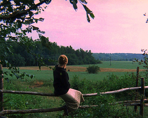 cinemaspam:The Mirror / Зеркало (1975) dir. Andrei Tarkovsky