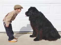 wonderous-world:  Stasha Becker aka North West Mommy, the mother and photographer of her 6 year old son Julian and their huge dog, a 7 year old Newfoundland named Max. The family lives in the Pacific Northwest, on an island just above Seattle. As Stasha