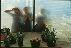 badpeace:  natgeofound:  Hutterite children peer into the window of a greenhouse at Deer Spring where the denomination lives without modern appliances, 1991.Photograph by Joel Sartore, National Geographic   q’d