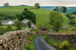bluepueblo:  Country Lane, Cumbria, England photo via jake 