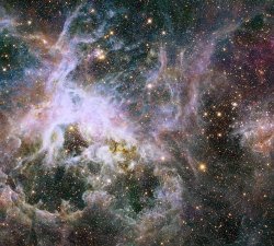 the-soul-tribe:  just–space: 30 Doradus, located in the heart of the Tarantula nebula, is the brightest star-forming region in our galactic neighborhood. The nebula resides 170,000 light-years away in the Large Magellanic Cloud. Links to very large