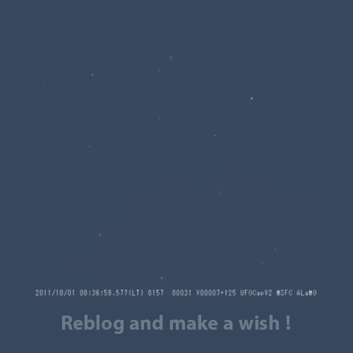 XXX differentpain:reblog and make a wish !  photo