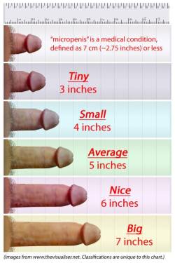 dirtystraightguys:  Online penis size Quick-Reference ChartFollow me:  http://dirtystraightguys.tumblr.com