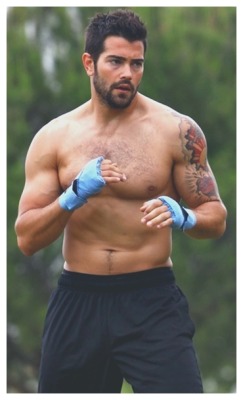 male-and-others-drugs: Jesse Metcalfe sem camisa