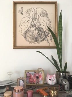 devotedpetitepet:  herdirtylittleheart:  I head straight to her place from the train station, it’s familiar now. The cats are cuddling together on the armchair like a yin-yang, a circle of purring sweetness. She’s making tea, I’m admiring some of