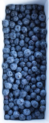 Blueberries!!!!!
