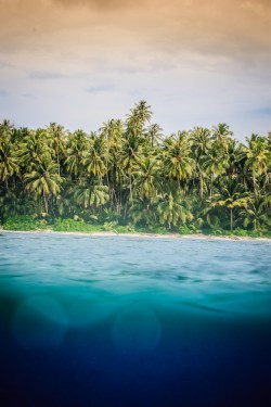wavemotions:  Mentawai - Landscapes by Henrique