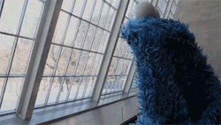 leah617:paln-k:cosmic-noir:sizvideos:Simply Delicious Shower Thoughts with Cookie MonsterVideo - Via Siz iOS appWhy did you do this to me?The BestCookie Monster has been nightblogging