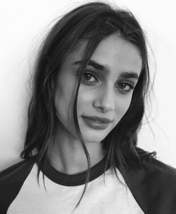 TAYLOR HILL DAILY