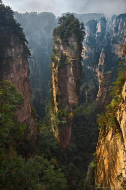mrcloudphotography:  These are called quartzite sandstone pillars in Wulingyuan, China taken by Thomas Dawson.  Me, I call them avatarlike-floaty-rocky-stuff. I bet some crazy parties happen on top of this thing. 