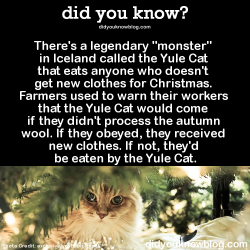 did-you-kno:There’s a legendary “monster” in Iceland called the Yule Cat that eats anyone who doesn’t get new clothes for Christmas. Farmers used to warn their workers that the Yule Cat would come if they didn’t process the autumn wool. If they