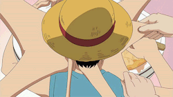 shiroyoh:                             Rule number one:                  Never disturb Luffy when he is eating  his face in the last gif hahaha