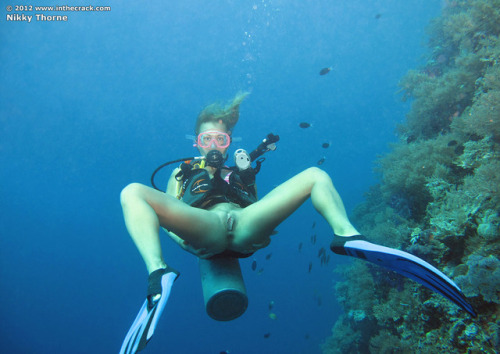 constant-priapism:  Nikky Thorne naked diver porn pictures