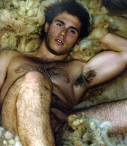 hm69:  Jason and the golden fleece HM &amp; Hunter, cum see our archives 40,000 followers :) click (HM)  will enter your dreams  follow. ask. submit. click (Hunter) will shred your seamsfollow. ask. submit. 