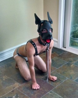 Pup wants to play outside!  More of my pics at http://pupfern.tumblr.com/tagged/me